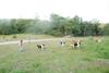 2009-08-15_ntb_5161