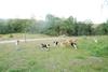 2009-08-15_ntb_5162