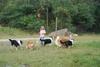 2009-08-15_ntb_5163
