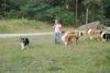 2009-08-15_ntb_5164