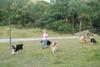 2009-08-15_ntb_5165