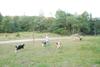 2009-08-15_ntb_5166