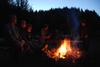 2009-08-15_ntb_5194