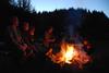 2009-08-15_ntb_5195