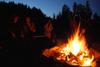 2009-08-15_ntb_5208
