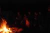 2009-08-15_ntb_5231