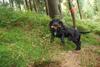 2009-09-20_ntb_8612
