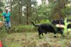 2009-09-20_ntb_8615