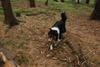 2009-09-20_ntb_8624