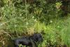 2009-09-20_ntb_8632