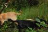 2009-09-20_ntb_8633