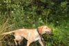 2009-09-20_ntb_8635
