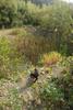 2009-09-20_ntb_8637