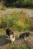 2009-09-20_ntb_8638
