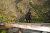 2009-09-20_ntb_8639