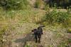 2009-09-20_ntb_8641