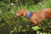 2009-09-20_ntb_8645
