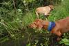 2009-09-20_ntb_8647