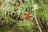 2009-09-20_ntb_8648