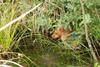 2009-09-20_ntb_8649