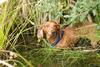 2009-09-20_ntb_8650