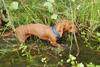 2009-09-20_ntb_8651