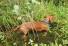 2009-09-20_ntb_8652