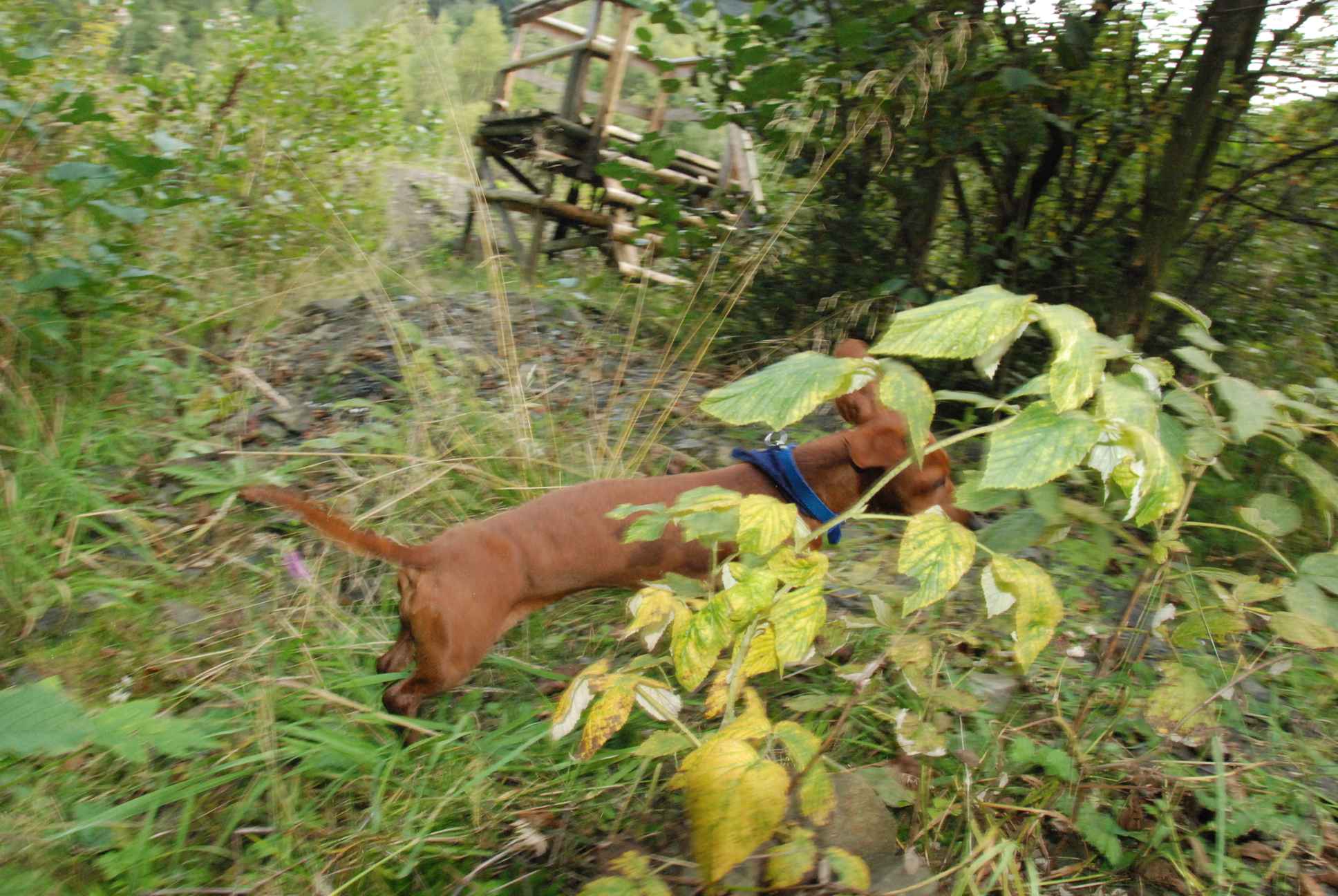 2009-09-20_ntb_8654