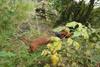 2009-09-20_ntb_8654