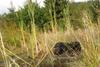 2009-09-20_ntb_8655
