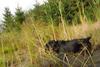 2009-09-20_ntb_8657