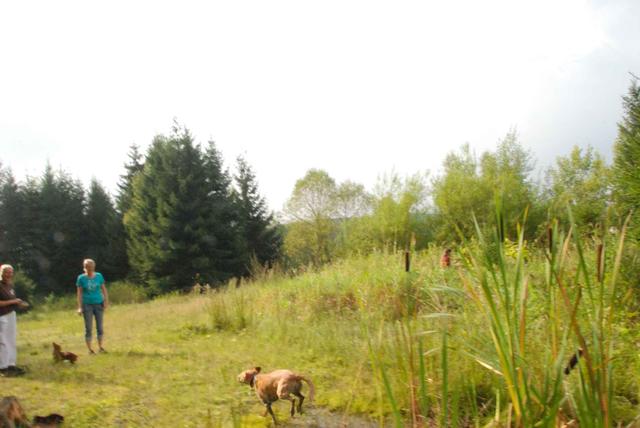 2009-09-20_ntb_8658