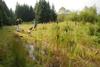 2009-09-20_ntb_8660