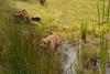 2009-09-20_ntb_8664