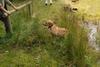 2009-09-20_ntb_8665