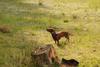 2009-09-20_ntb_8667