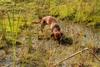 2009-09-20_ntb_8668