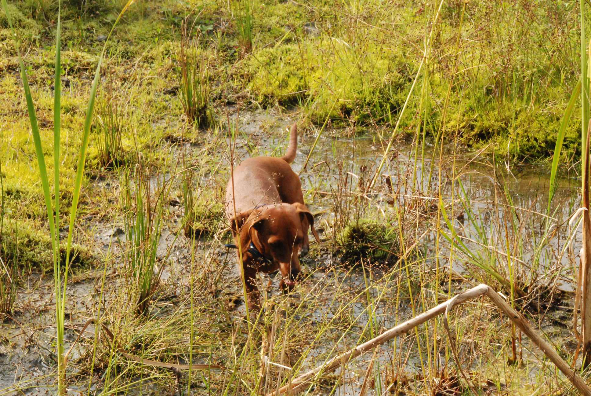2009-09-20_ntb_8669