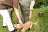 2009-09-20_ntb_8674