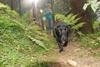 2009-09-20_ntb_8675