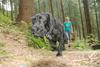 2009-09-20_ntb_8677