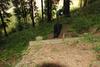 2009-09-20_ntb_8678