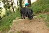 2009-09-20_ntb_8679