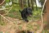 2009-09-20_ntb_8681