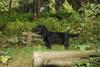 2009-09-20_ntb_8683