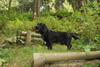 2009-09-20_ntb_8684
