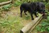 2009-09-20_ntb_8688