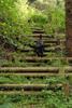 2009-09-20_ntb_8690