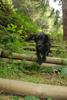 2009-09-20_ntb_8692