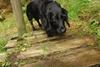 2009-09-20_ntb_8695